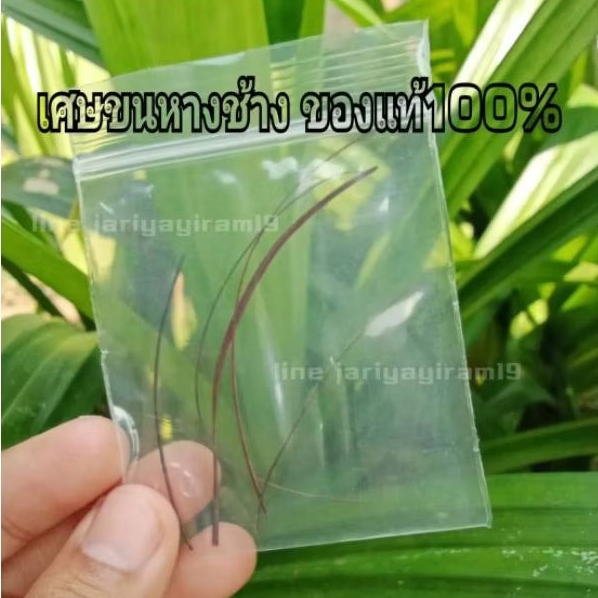 1ๅ ถูกที่สุด พร้อมโปรโมชั่น ม.ค. 2026 | BigGoเช็คราคาง่ายๆ