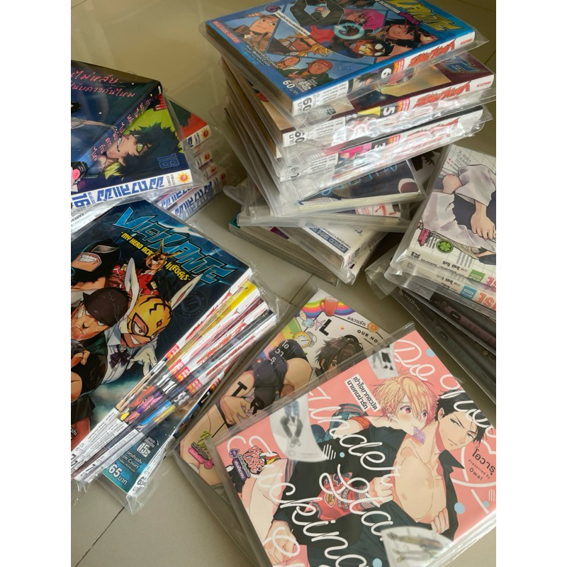 หนังสือการ์ตูน มังงะ มือ2 มือ 1สภาพดีมาก✨ พร้อมซิปล็อค My hero, First love, Momo,แวมไพร์