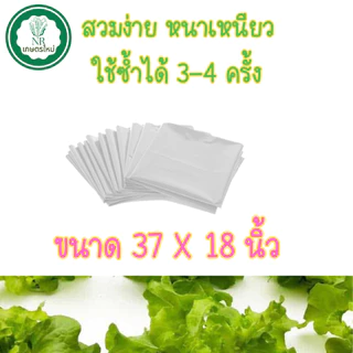 ถุงรองกล่องโฟม ถุงขาวรองกล่องโฟมปลูกผักไฮโดรโปนิกส์ ถุงรองกล่องกุ้ง (ใส่ได้พอดีไม่ต้องตัด)
