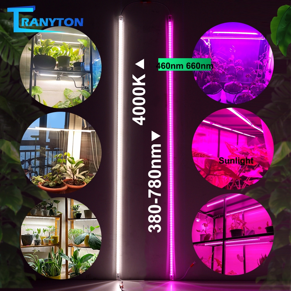 ไฟปลูกต้นไม้  LED grow light ชุดไฟปลูก 50/110CM 10แถว 220V ไฟช่วยต้นไม้เติบโต ช่วยทำใบ ทำดอก ไฟเส้นปลูกต้นไม้
