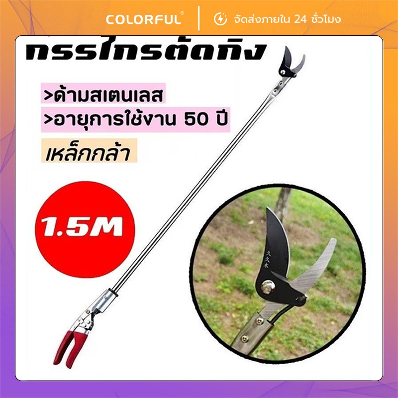 ✂️ กรรไกรตัดกิ่งไม้ยาว1.5M ด้ามสแตนเลส คมจัด แข็งแรง ตัดง่าย ประหยัดแรง ใช้ได้กับกิ่งไม้สูง / ผลไม้ พร้อมส่ง ตัดแต่งกิ่ง