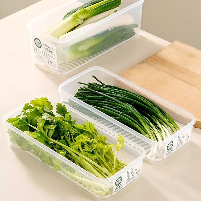 กล่องถนอมอาหาร กล่องเก็บอาหารในตู้เย็น สำหรับเก็บผักชี ต้นหอม คงความสดใหม่ของอาหาร วัสดุ PP