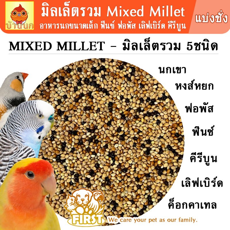 FIRST อาหารนกมิลเล็ตรวม Mixed millet 500g/1kg millet นกเขา หงส์หยก budgie ฟินซ์ คีรีบูน ค็อกคาเทล พาราคีท parakeet