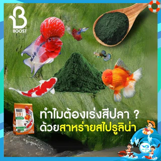 🧡ใหม่‼️อาหารปลาสวยงาม ปลาทอง ปลาคาร์ฟ บูสท์ (Boost 5in1) 5 คุณประโยชน์ ครบจบในถุงเดียว ขนาด 800 กรัม