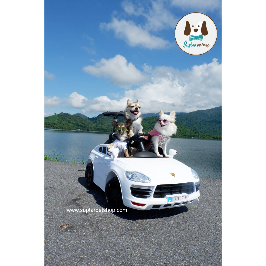 แว่นหมา แว่นแมว แว่นตากันแดดสัตว์เลี้ยง ทรงกลม เหมาะกับ หมาแมว กระต่าย ขนาดเล็ก มีสายรัดให้ฟรี