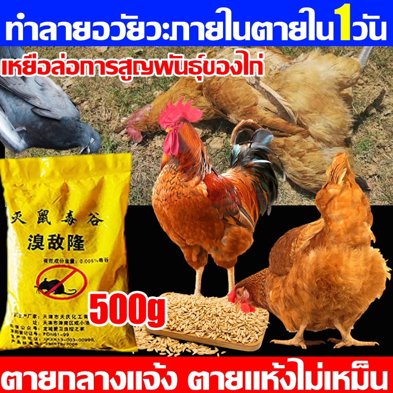ฆ่าไก่ที่น่ารำคาญ เหยื่อกำจัดนก500g ยาเบื่อไก่ เหยื่อกำจัดนกพิราบ ยาเบื่อนก ยากำจัดนกพิราบ ยาฆ่านก ยาเบือหนู