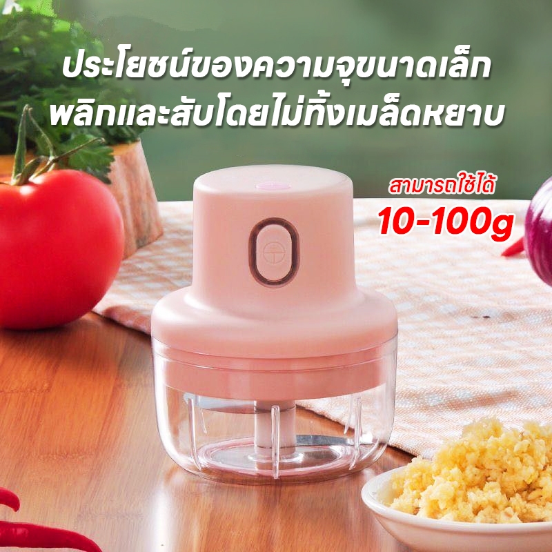 มินิเครื่องปั่น อเนกประสงค์ ปั่นกระเทียม ปั่นพริก ปั่นเนื้อสัตว์ ผลไม้ปั่น เครื่องเคียง