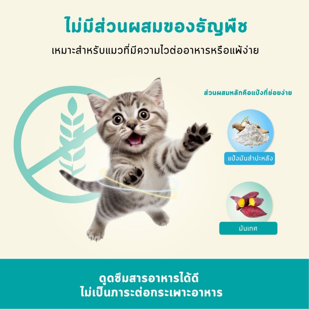 [LIVE] Bite Of Wild F42 ซอง 3กก สูตรปลา 6 ชนิด ปราศจากธัญพืช สำหรับแมวทุกช่วงวัย - รูปที่ 3