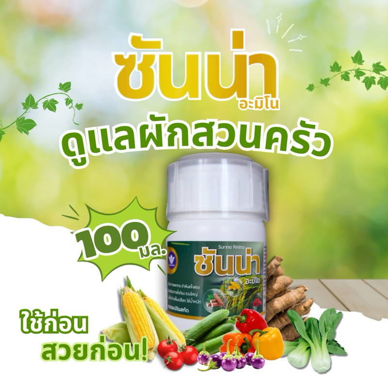 ซันน่า อะมิโน เอาใจคนรักผักสวนครัว| บำรุงพืชผัก ติดดอกออกผลดี ลูกดก โตไว ก้านใหญ่ ใบเขียวสด 100ซีซี