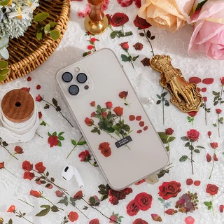 [พร้อมส่ง] DIY สติ๊กเกอร์ 6PC/ชุด ดอกไม้ ใบไม้ เดซี่ กุหลาบ ขอบใส กันน้ำ Daisy Rose Flower PET Clear Transparent Sticker