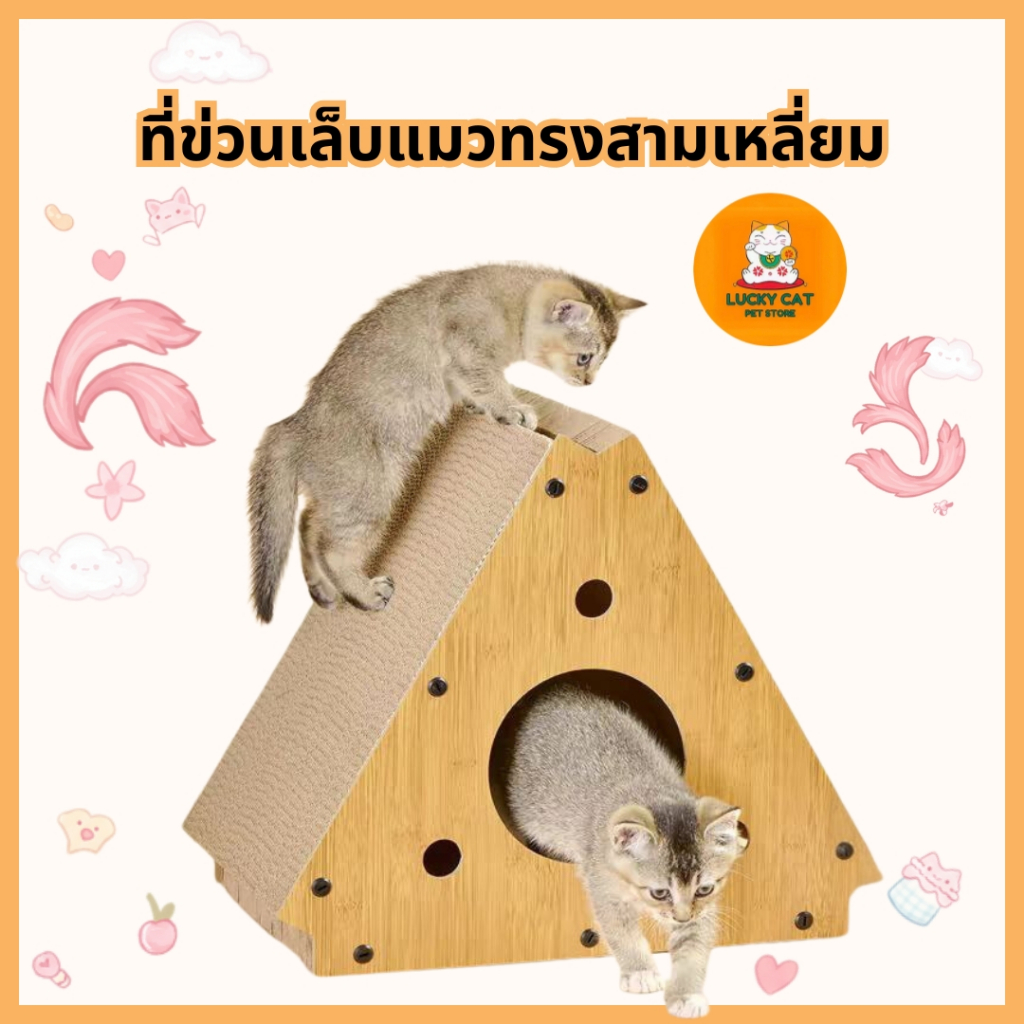 บ้านลับเล็บแมว รูปทรงสามหลี่ยม