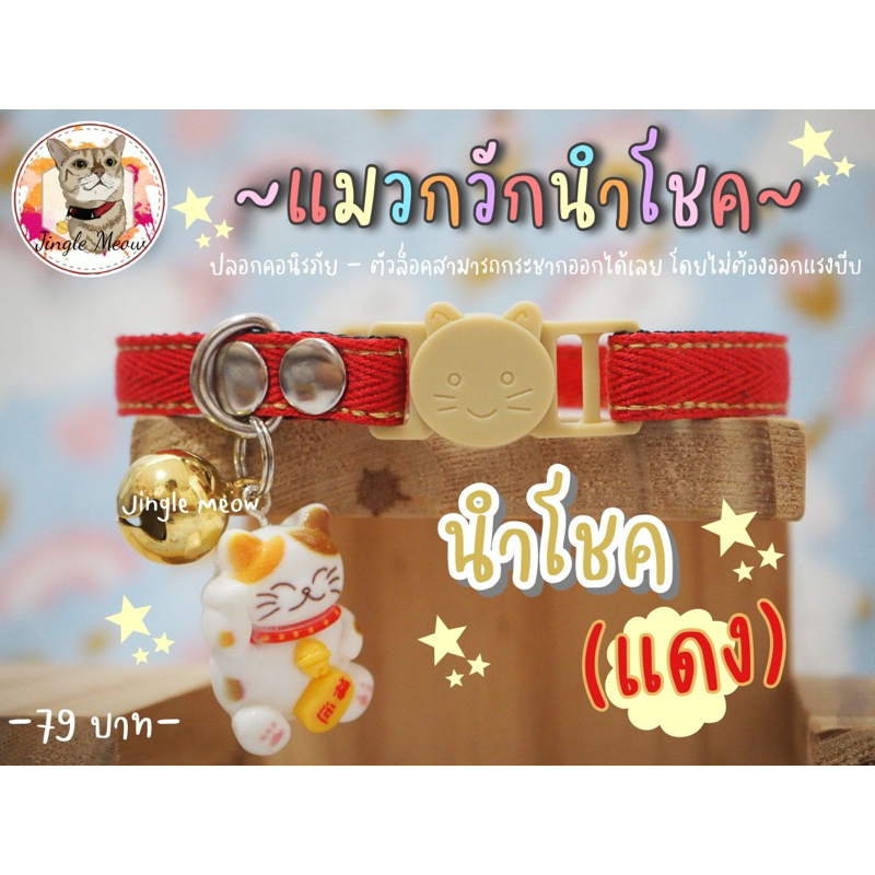 แมวกวักนำโชค💰 -มี 10 สี- (แมวเด็ก/แมวโต) ปลอกคอแมว ปลอกคอนิรภัย/ เซฟตี้ - Jingle meow