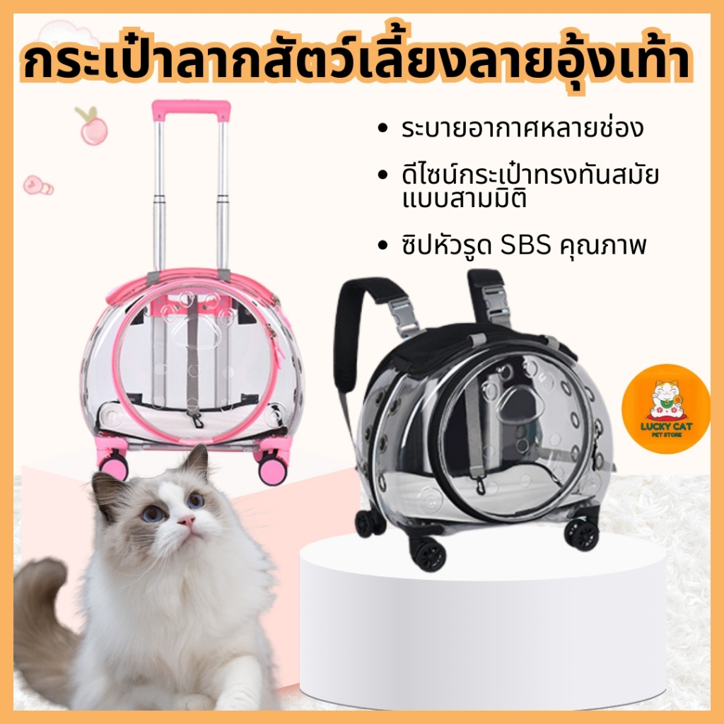 เคสใส กระเป๋าเดินทางอเนกประสงค์ น้ำหนักเบา ระบายอากาศได้ดี สำหรับสัตว์เลี้ยง พร้อมส่ง

<p>“><center></p>
<h4></h4>
<p><p><font color=