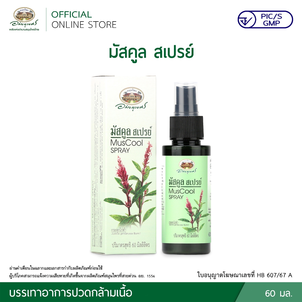 มัสคูล สเปรย์ MusCool Spray ขนาด 60 มล.