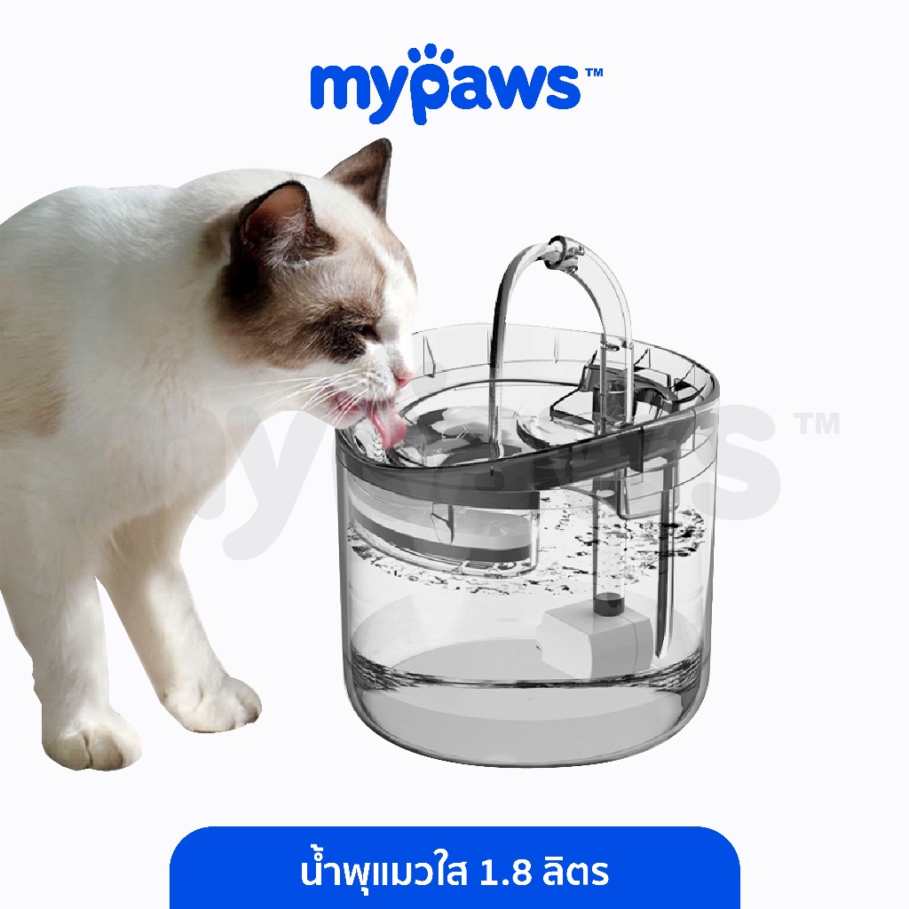 My Paws น้ำพุแมว แบบใส 1.8 ลิตร ที่ให้น้ำสัตว์เลี้ยงอัตโนมัติ