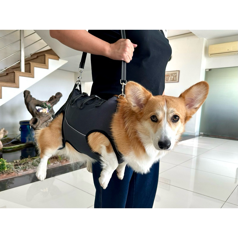 สายพยุงสุนัข ที่พยุงสุนัข ฝึกกายภาพบำบัด แบบเต็มตัว [พร้อมส่ง]