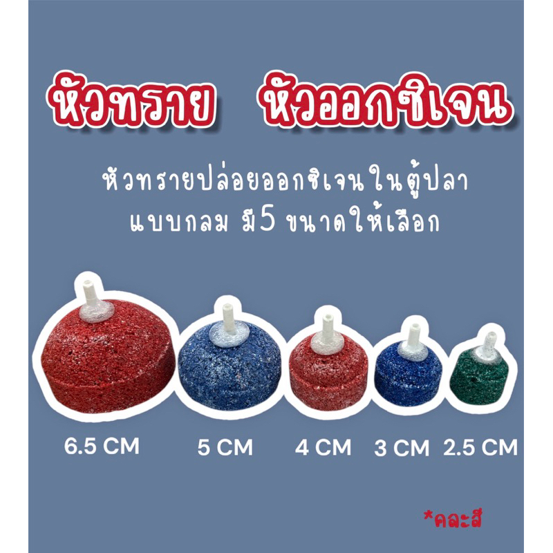 หัวทรายกลม หัวทรายออกซิเจนในตู้ปลา คละสี