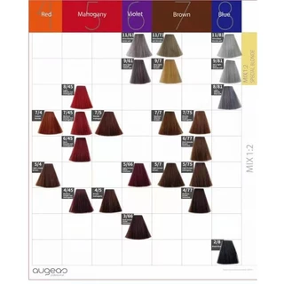 น้ำยาย้อมผม AUGEAS Hair Color Cream ครีมเปลี่ยนสีผม ขนาด 100 ml