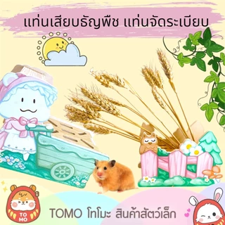 ร้านโทโมะ 💕รวมแท่นเสียบธัญพืช ที่เสียบดอกไม้ ตกแต่งกรง ให้น่ารัก ดูเป็นระเบียบเรียบร้อย เหมาะกับ แฮมสเตอร์