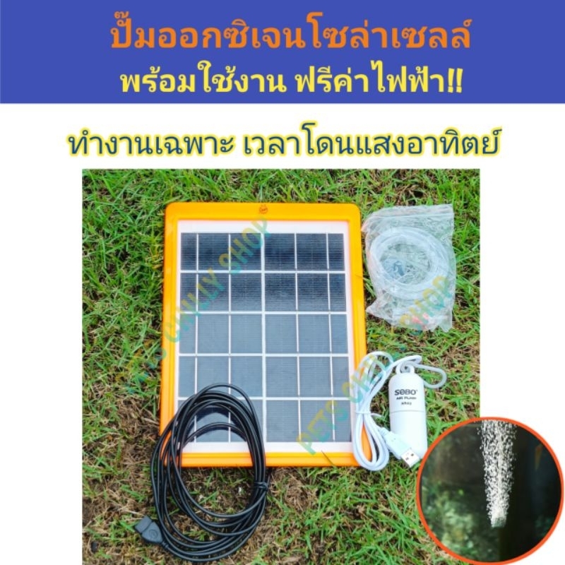 ปั๊มออกซิเจน โซล่าเซลล์ pump solar cell