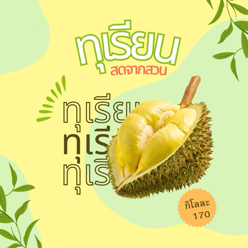 ทุเรียนหมอนทอง  ทุเรียนระยอง คัดเนื้อ aaa รับประกันหากมีปัญหา เนื้อ1 ไปเลือกเนื้อเองได้ น้ำหนัก 3,5,10โล มีรับประกัน