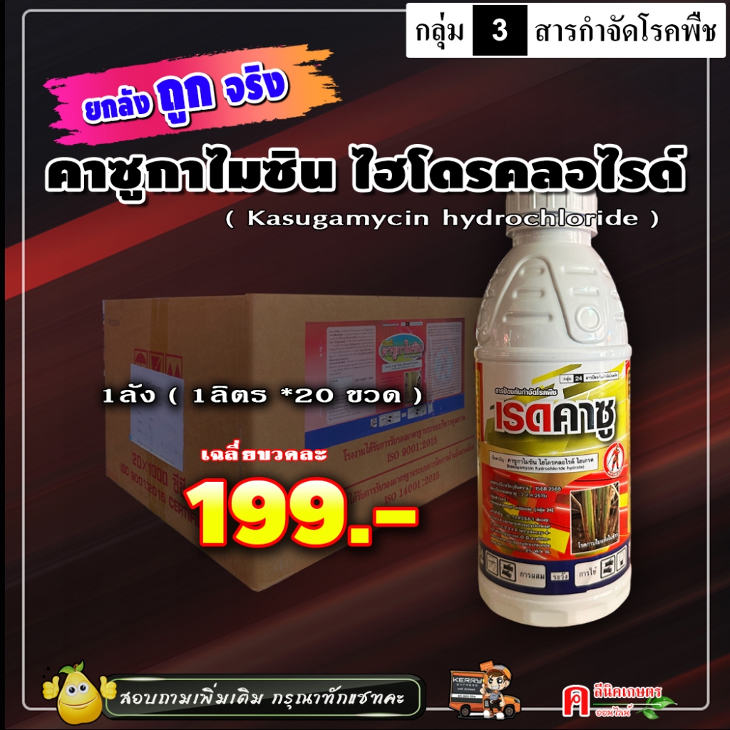 // ขายยกลัง // เรดคาซู คาซูกาไมซิน ( 20 ลิตร ) คาซูกามัยซิน สารป้องกันกำจัดโรคพืช ใบไหม้ โรคเคงเกอร์ ขอบใบแห้ง ใบขีด