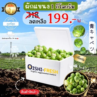 🛒Oishi-Fresh🥬กล่ำดาว ปลอดสารพิษ 1 กก. รสชาติกรอบ สด ใหม่ ใยอาหารสูง หวานออร์แกนิค ผัก เคลมได้ 1-2 วัน
