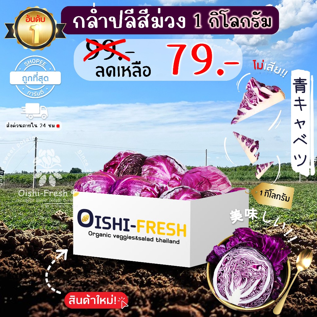 🛒Oishi-Fresh🥬กล่ำปลีสีม่วง ปลอดสารพิษ 1 กก. รสชาติกรอบ สด ใหม่ ใยอาหารสูง หวานออร์แกนิค เคลมได้ 1-2 วัน