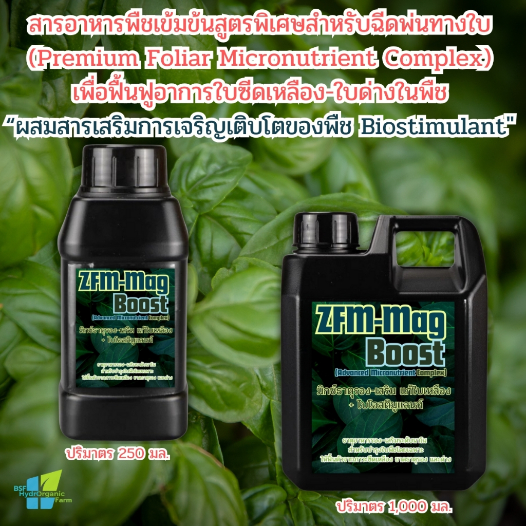 อาหารเสริมพืช ฟื้นฟูพืชจากอาการใบซีด ใบเหลืองใบด่าง ขาดธาตุรอง เพิ่มคลอโรฟิลล์ เพิ่มการสังเคราะห์แสง