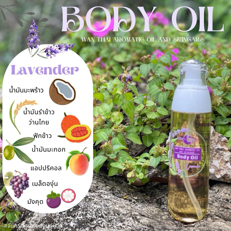 Body oil บอดี้ออยว่านไทยอโรมาติกออยแอนด์สกินแคร์ thumbnail 4