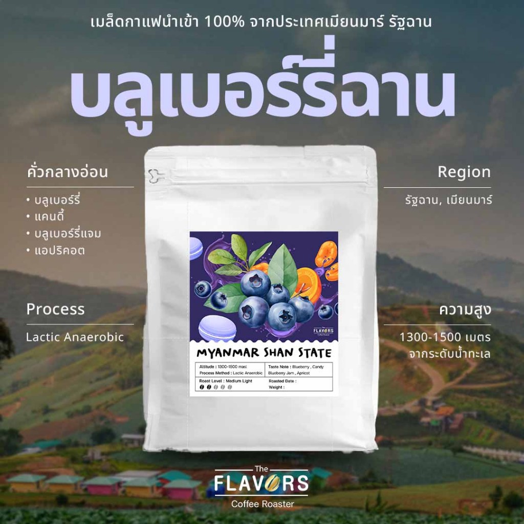 เมล็ดกาแฟ 'บลูเบอร์รี่ รัฐฉาน' คั่วอ่อน 100, 200 กรัม บลูเบอร์รี่ แคนดี้ Lactic Anaerobic Process