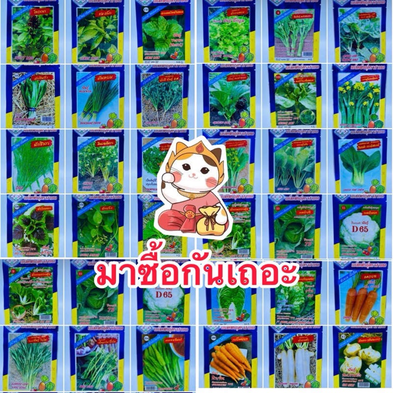 เมล็ดผักซอง OP คัดพิเศษ ตรา3A[ปลีก-ส่ง] ชุดผักกินใบ กินดอก และกินหัว