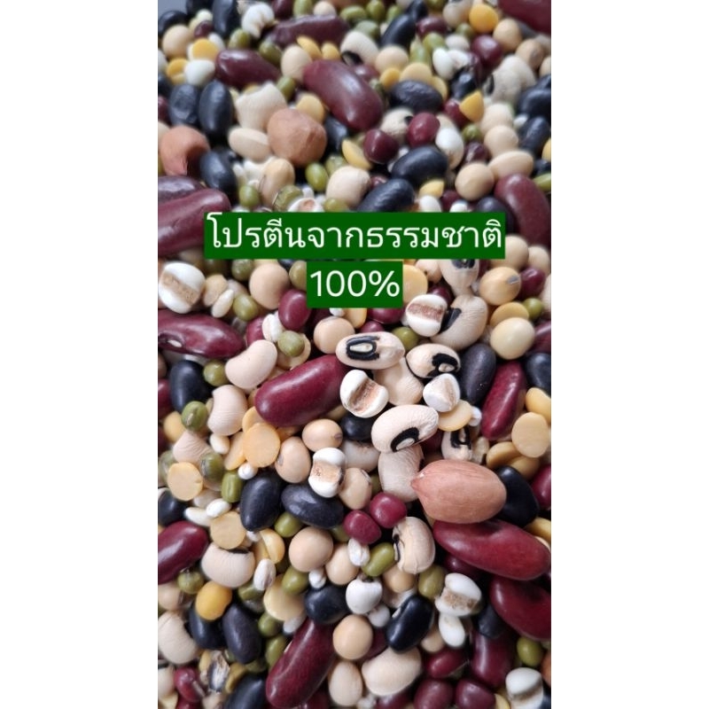 ถั่วธัญพืช 10 ชนิด  1 Kg แบบดิบหอมมันทุกเม็ด โปรตีนจากธรรมชาติไม่ผ่านการแปรรูป