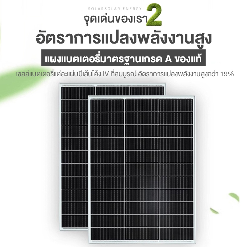 รูปภาพ 4