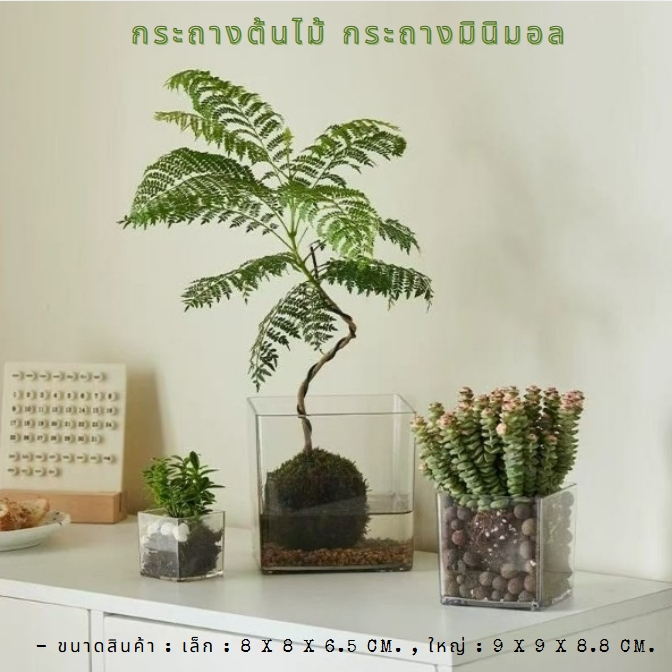 กระถางต้นไม้ กระถางมินิมอล ทำจากวัสดุอะคริลิค ทนทานต่อการใช้งาน ใช้ได้นาน ไม่เปลืองพื้นที่ ทรงสี่เหลี่ยมใส