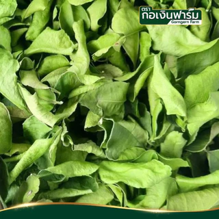 ใบมะกรูดแห้ง (DRIED KAFFIR LIME LEAF) ตรา กอเงินฟาร์ม บรรจุ 50 กรัม