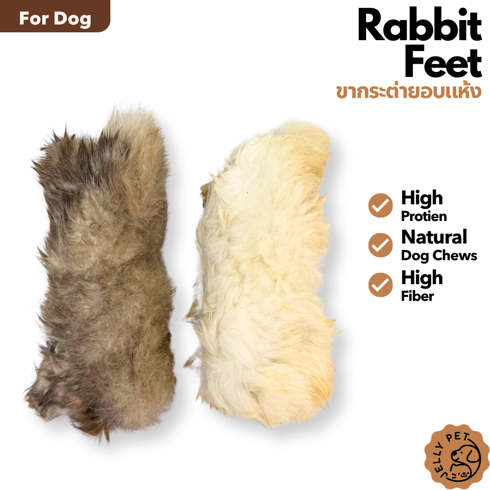 Jelly Pet Rabbit Feet ขากระต่ายอบแห้ง 1คู่ ขนมขัดฟัน ขนมสุนัขสุขภาพ ขนมหมาสุขภาพ ขนมแมวสุขภาพ