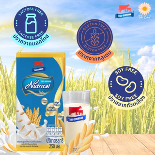 (4 โหล) Nutrical ไทย-เดนมาร์ค นิวทริแคล เครื่องดื่มโปรตีนสารอาหารครบถ้วน อาหารเบาหวาน นมทางการแพทย์