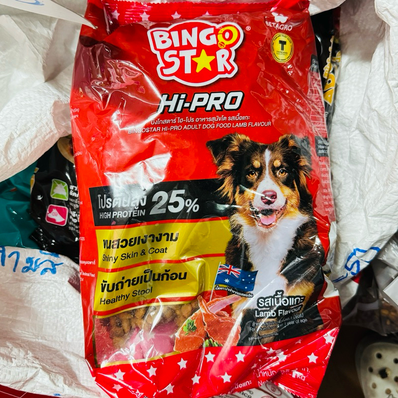 อาหารสุนัขโต รสเนื้อแกะ ชนิดโปรตีนสูง 25% บิงโกสตาร์ ไฮ-โปร Bingo Star Hi-PRO ขนาดบรรจุ ถุงละ 1 กก.