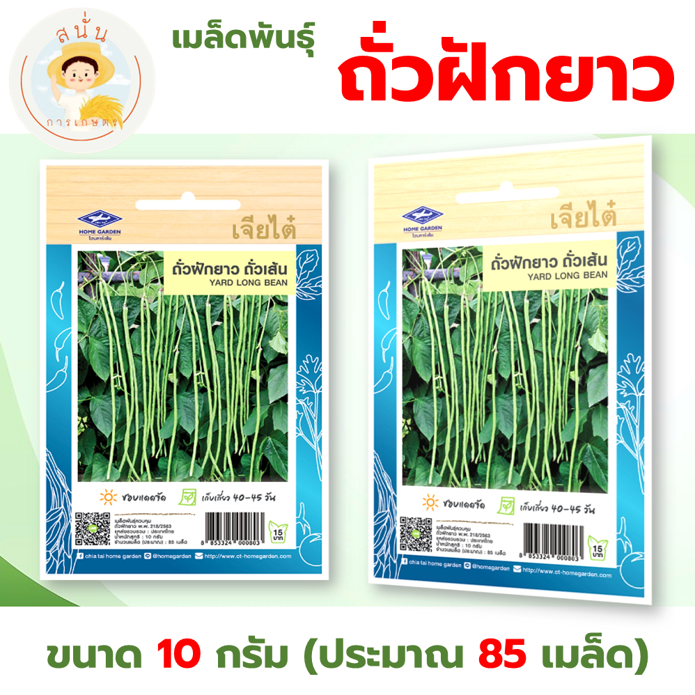 เมล็ดพันธุ์ ถั่วฝักยาว ถั่วเส้น (Yard Long Bean) ผักซอง เจียไต๋ OP ขนาด 10 กรัม (ประมาณ 85 เมล็ด)
