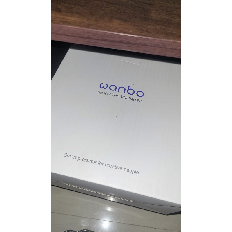 mini projector wanbo x2 pro