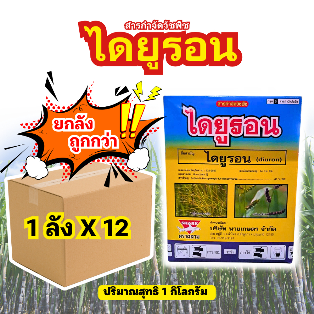 📌(ยกลัง) (1ลังx12)🍀ไดยูรอน80🍀 (ฉลาม) (ขนาด 1 กิโลกรัม) กำจัดวัชพืชใบแคบ-ใบกว้าง ใช้ได้ทั้งไร่อ้อย มัน และสัปปะรด