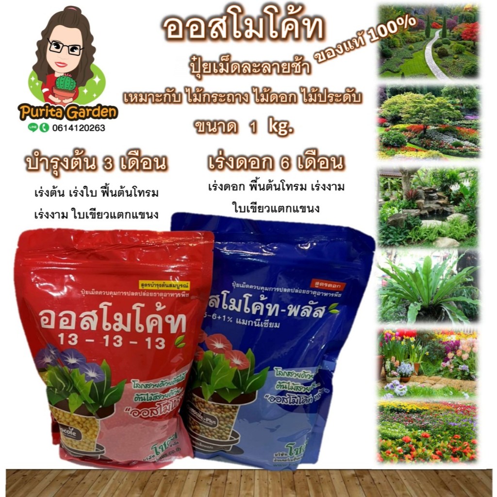 ปุ๋ยเม็ดออสโมโค้ท บำรุงต้น&เร่งดอก สูตรละลายช้า ขนาด 1 Kg.ของแท้ 100%