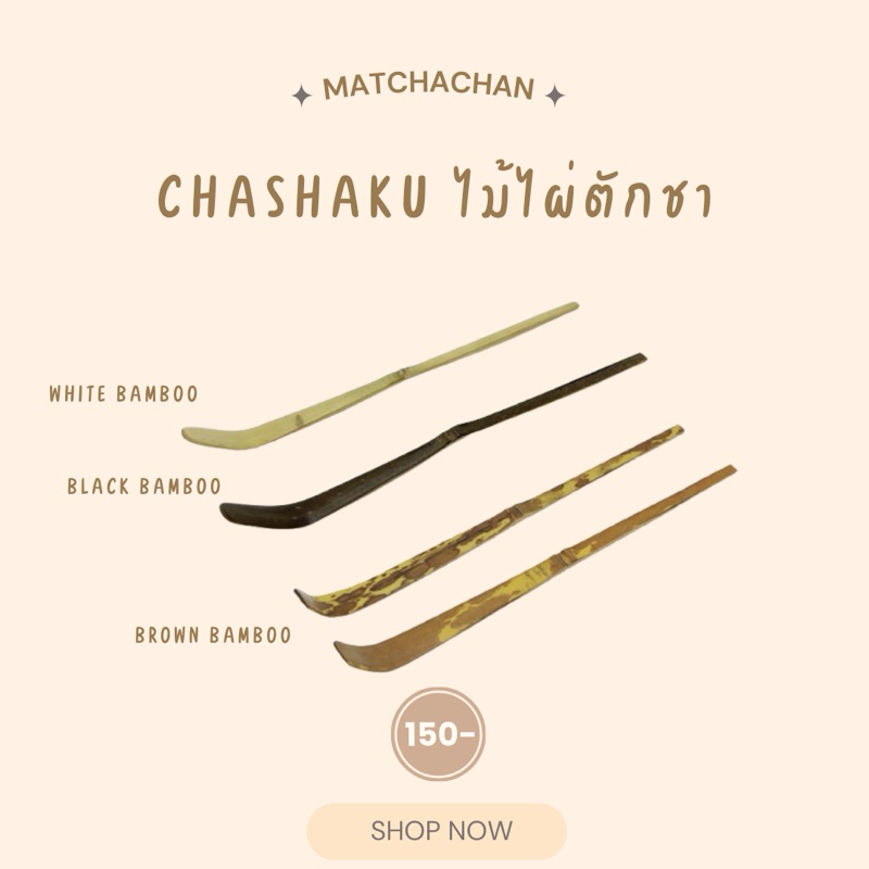 MATCHACHAN | CHASHAKU ไม้ไผ่ตักชา