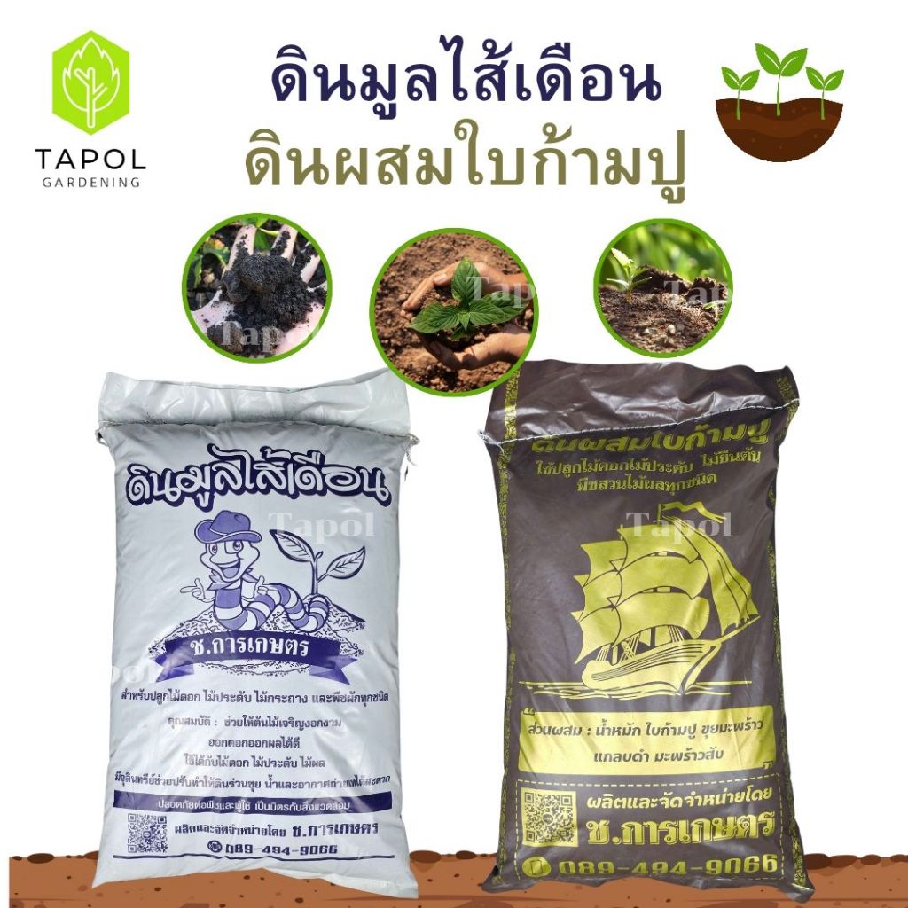 ดินมูลไส้เดือน ดินใบก้ามปู ดินมูลไส้เดือน ปุ๋ยคอก น้ำหมักมูลไส้เดือน แกลบดำ ดิน น้ำหมักมูลวัว สามารถปลูกพืชทุกชนิด