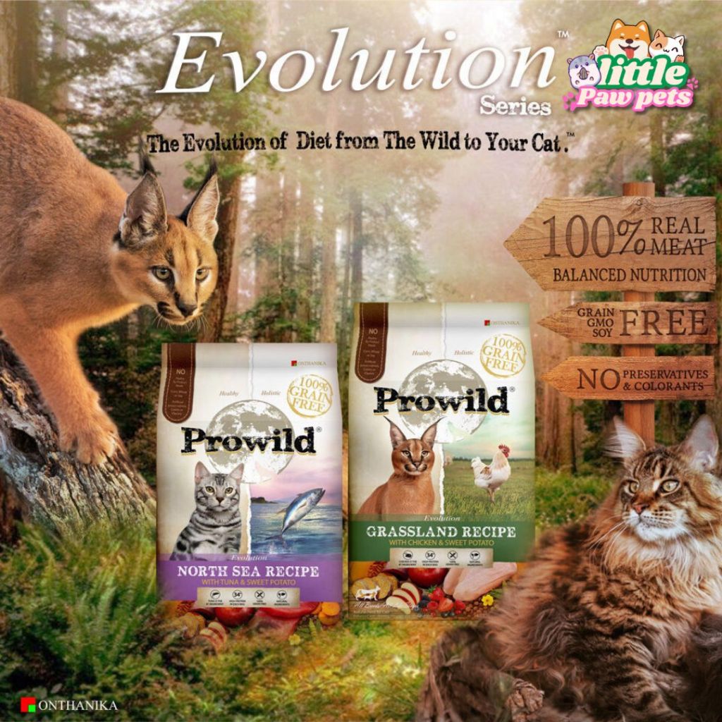 (ส่งด่วน ในกทม.) Prowild Evolution โปรไวลด์ อีโวลูชั่น เกรนฟรี อาหารแมว 2Kg.