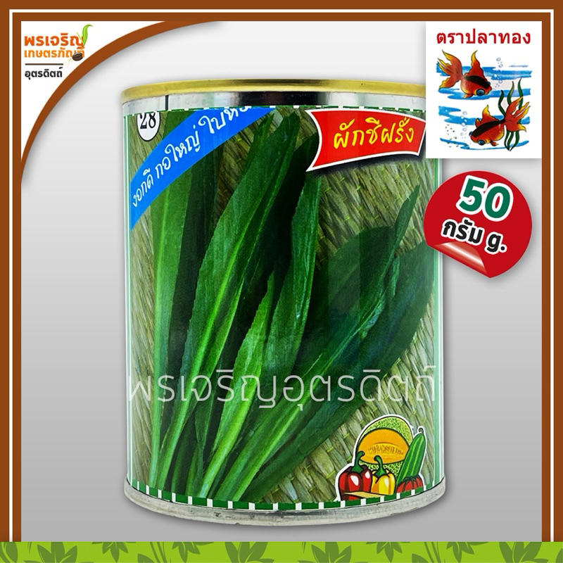 เมล็ดพันธุ์ผักชี ผักชีฝรั่ง กอใหญ่ ใบหอม (50 กรัม) เมล็ดผักชีปลาทอง เมล็ดผักชีใบเลื่อย เมล็ดพันธุ์ผักสวนครัว ตราปลาทอง