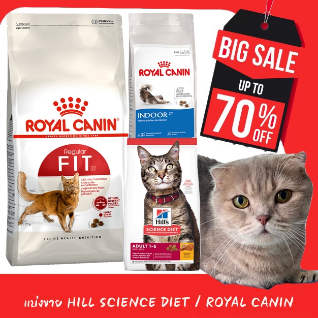 🍖แบ่งขาย 1KG🍖 Royal Canin Fit 32 | Indoor & Baby Cat | Hill’s Science Diet ลูกแมว-โต 1-6 ปี อาหารแมว