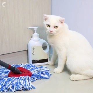 Chapet Tidy & Shine Floor Cleaner (น้ำยาถูพื้นสำหรับสัตว์เลี้ยง)