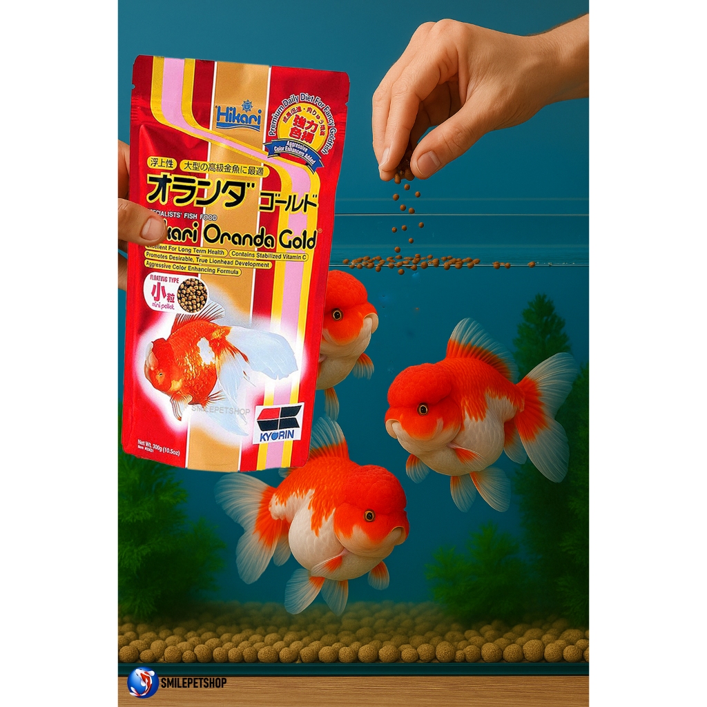 Hikari Oranda Gold 300 g.(อาหารปลาทองจากประเทศญี่ปุ่น เร่งวุ้น เร่งสี เร่งโต) - รูปที่ 3